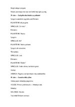 Paraugs 'Ziemassvētku scenārijs', 35.