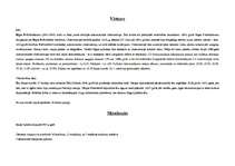 Konspekts 'Raiņa bulvāris posmā no Brīvības bulvāra līdz Marijas ielai', 2.