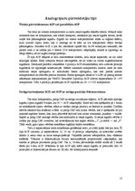 Referāts 'Analogciparu pārveidotājs', 13.