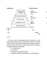 Referāts 'Darbinieku motivēšanas analīze uzņēmumā', 5.