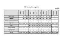 Biznesa plāns 'Viesu mājas biznesa plāns', 30.