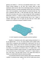 Diplomdarbs 'Vēja ģeneratoru būvniecības ietekme uz kuģošanas drošību Latvijas ūdeņos', 33.