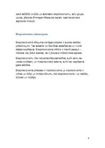 Referāts 'Ekspresionisms', 6.