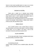 Referāts 'Personāla atlase un novērtēšana', 4.