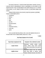 Diplomdarbs 'Sociālā pedagoga darbs ar bērniem, kas pakļauti sociālās deprivācijas riskam Sal', 21.