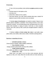 Diplomdarbs 'Sociālā pedagoga darbs ar bērniem, kas pakļauti sociālās deprivācijas riskam Sal', 71.