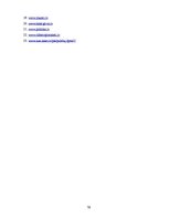 Diplomdarbs 'Sociālā pedagoga darbs ar bērniem, kas pakļauti sociālās deprivācijas riskam Sal', 79.