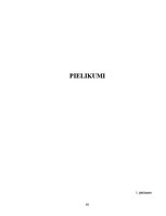 Diplomdarbs 'Sociālā pedagoga darbs ar bērniem, kas pakļauti sociālās deprivācijas riskam Sal', 80.