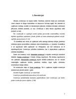 Referāts 'Investīciju piesaiste', 3.