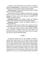 Referāts 'Investīciju piesaiste', 5.