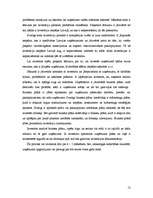 Referāts 'Investīciju piesaiste', 12.