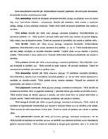 Referāts 'Okazionālismi Imanta Ziedoņa darbā "Priekšsajūta"', 3.