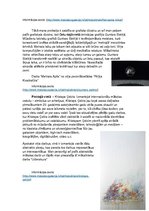 Konspekts 'Pārdomas par laikmetīgo mākslu Latvijā', 4.