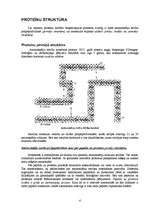 Referāts 'Olbaltumvielas', 4.