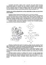 Referāts 'Olbaltumvielas', 7.
