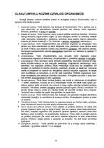 Referāts 'Olbaltumvielas', 16.