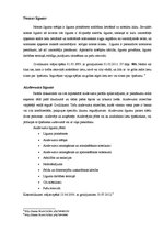 Konspekts 'Galvenais privātajās tiesībās', 2.