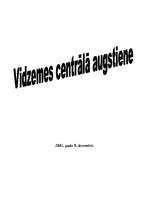 Konspekts 'Vidzemes augstiene', 1.