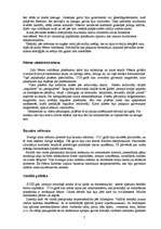 Referāts 'Pēteris I', 7.