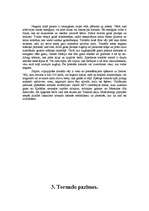 Referāts 'Viesuļvētras', 5.