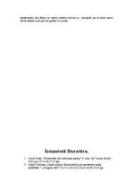 Referāts 'Viesuļvētras', 16.