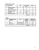 Prakses atskaite 'SIA "IT Enterprise" nodibināšana līdz 2010.gada 1.aprīlim, iekļaujoties 12000 Ls', 21.