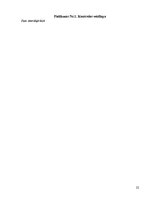 Prakses atskaite 'SIA "IT Enterprise" nodibināšana līdz 2010.gada 1.aprīlim, iekļaujoties 12000 Ls', 22.