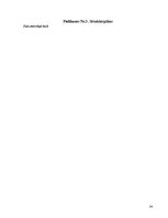 Prakses atskaite 'SIA "IT Enterprise" nodibināšana līdz 2010.gada 1.aprīlim, iekļaujoties 12000 Ls', 24.