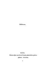 Referāts 'Ekskursijas maršruts Gaujas plostnieku galvaspilsētā - Strenčos', 20.