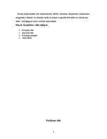 Referāts 'Ermitāža', 3.