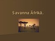 Prezentācija 'Savanna', 1.