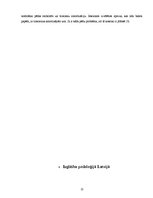 Diplomdarbs 'Medicīnas koledžas studentu zināšanas par podologa nozīmi veselības aprūpē', 13.