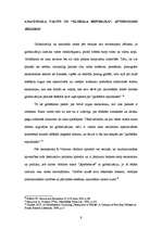 Referāts 'Nacionāla valsts un "globāla republika"', 9.