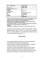 Biznesa plāns 'Žurnāls "Lieliskais"', 13.