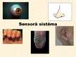 Prezentācija 'Sensorā sistēma', 1.