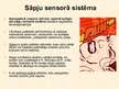 Prezentācija 'Sensorā sistēma', 12.