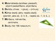 Prezentācija 'Prezentācija matemātikā', 3.