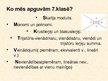 Prezentācija 'Prezentācija matemātikā', 10.