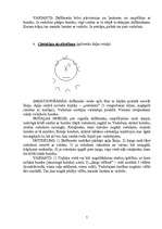 Konspekts 'Rotaļas sportā 1.-12.klasei', 7.