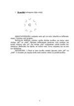 Konspekts 'Rotaļas sportā 1.-12.klasei', 8.