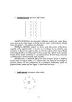 Konspekts 'Rotaļas sportā 1.-12.klasei', 11.
