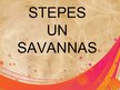 Prezentācija 'Stepes un savannas', 1.