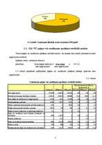 Referāts 'Pašvaldības SIA "X" finansiālā stāvokļa analīze', 9.