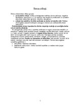 Referāts 'Stress un tā novēršana', 5.