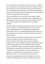 Konspekts 'Tiesību aktu tulkošana un tiesību piemērošana', 28.