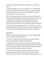 Konspekts 'Tiesību aktu tulkošana un tiesību piemērošana', 43.