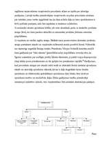 Konspekts 'Tiesību aktu tulkošana un tiesību piemērošana', 74.