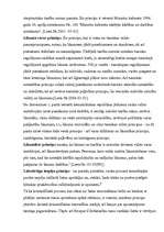 Konspekts 'Tiesību aktu tulkošana un tiesību piemērošana', 88.