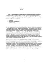 Referāts 'Stresa mazināšana', 4.