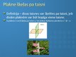 Prezentācija 'Taisnes un plaknes', 10.